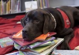Kanisterapija bibliotēkā – suņi atklās bērniem grāmatu pasauli